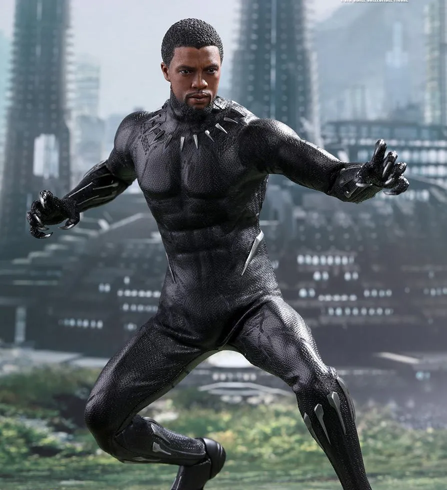 Chadwick Boseman's Black Panther Jacket